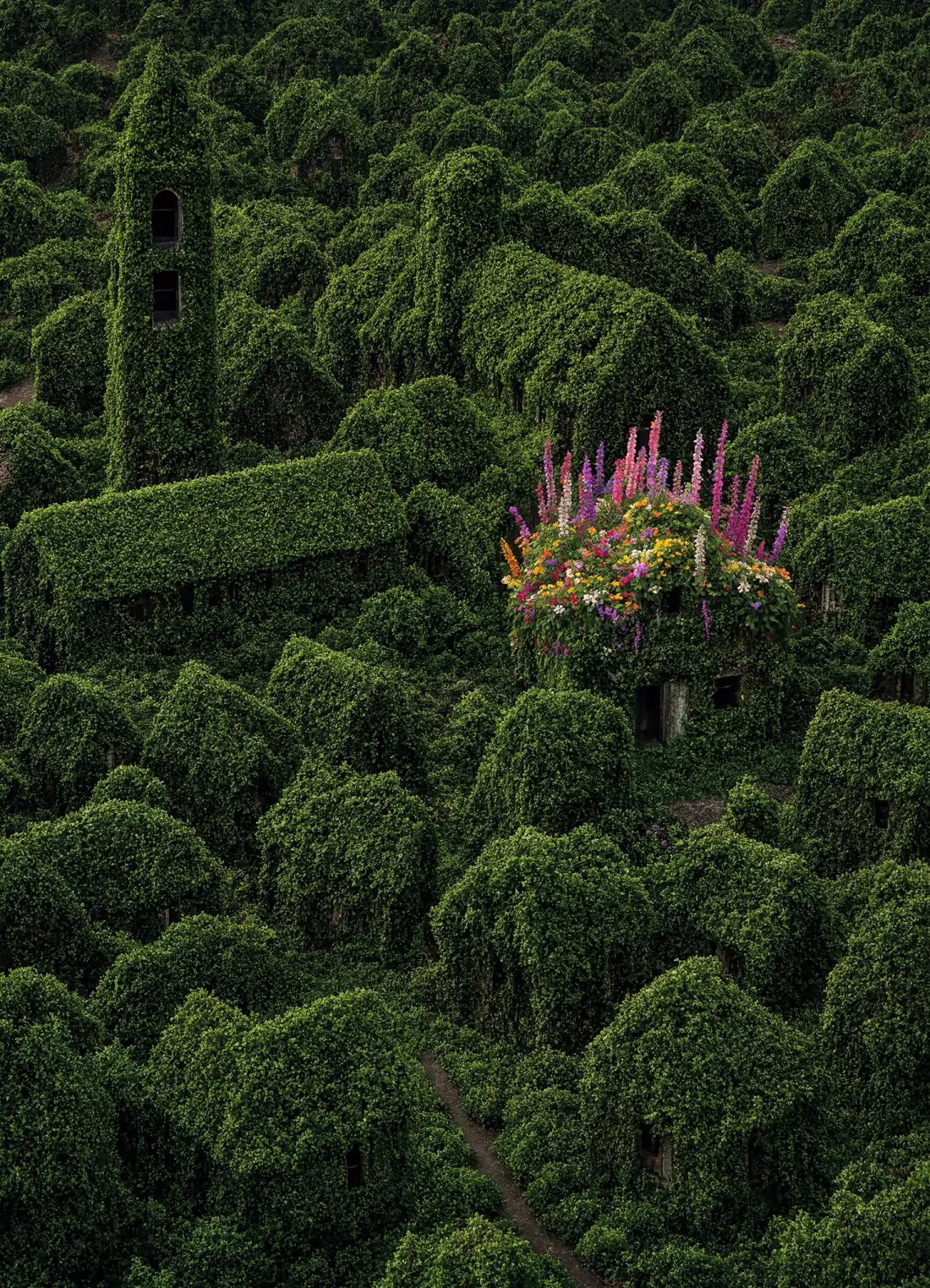 An aerial view of an abandoned village entirely overgrown with dense green ivy, one rooftop covered in blooming pink, purple and yellow flowers