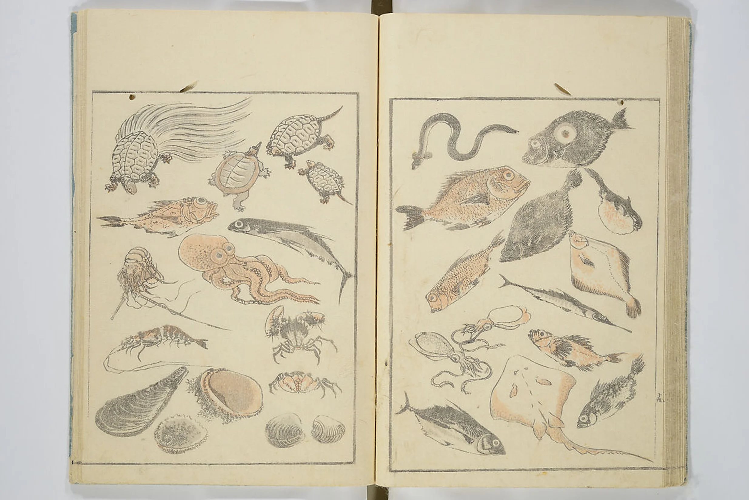 Hokusai sketchbook studies of waves and geometry