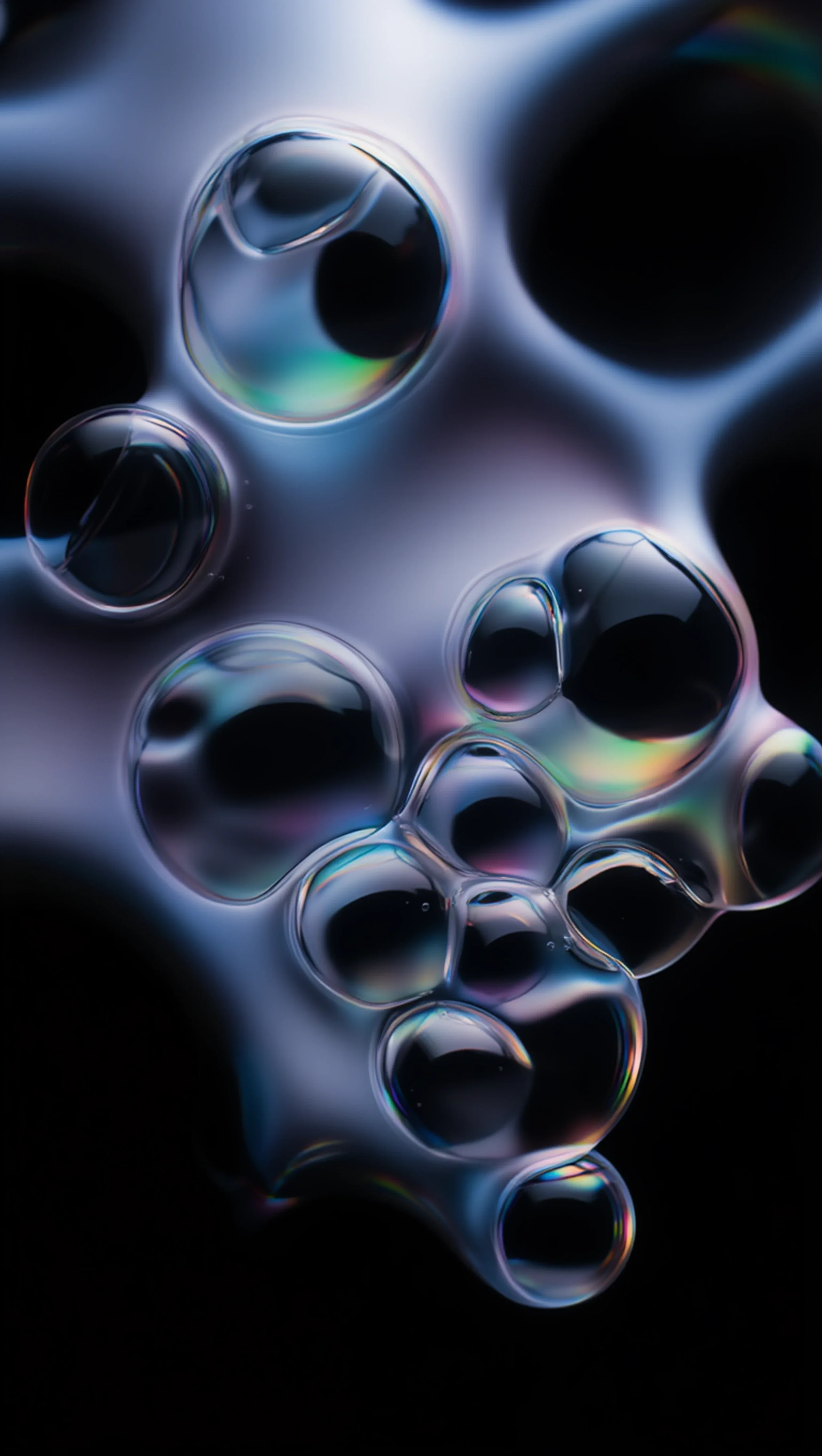 Bubble Soft, Zipeng Zhu