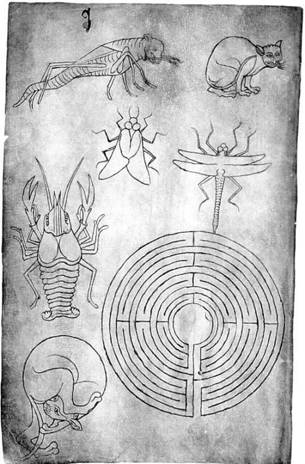 Villard de Honnecourt folio, figures over geometric scaffolding
