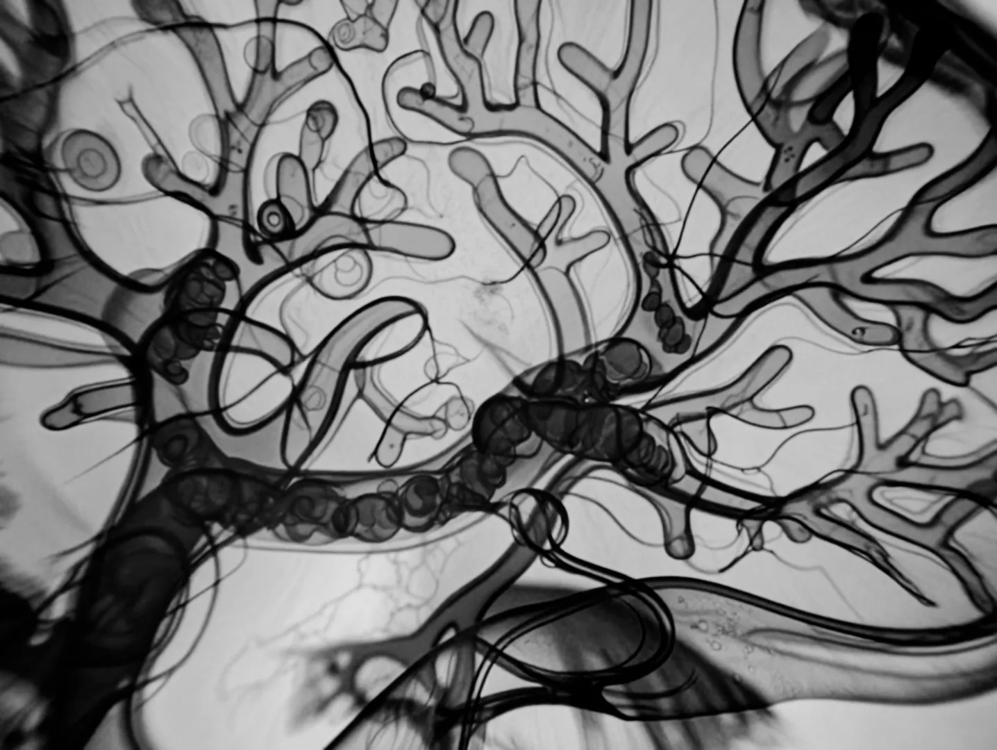 Runners High still 10